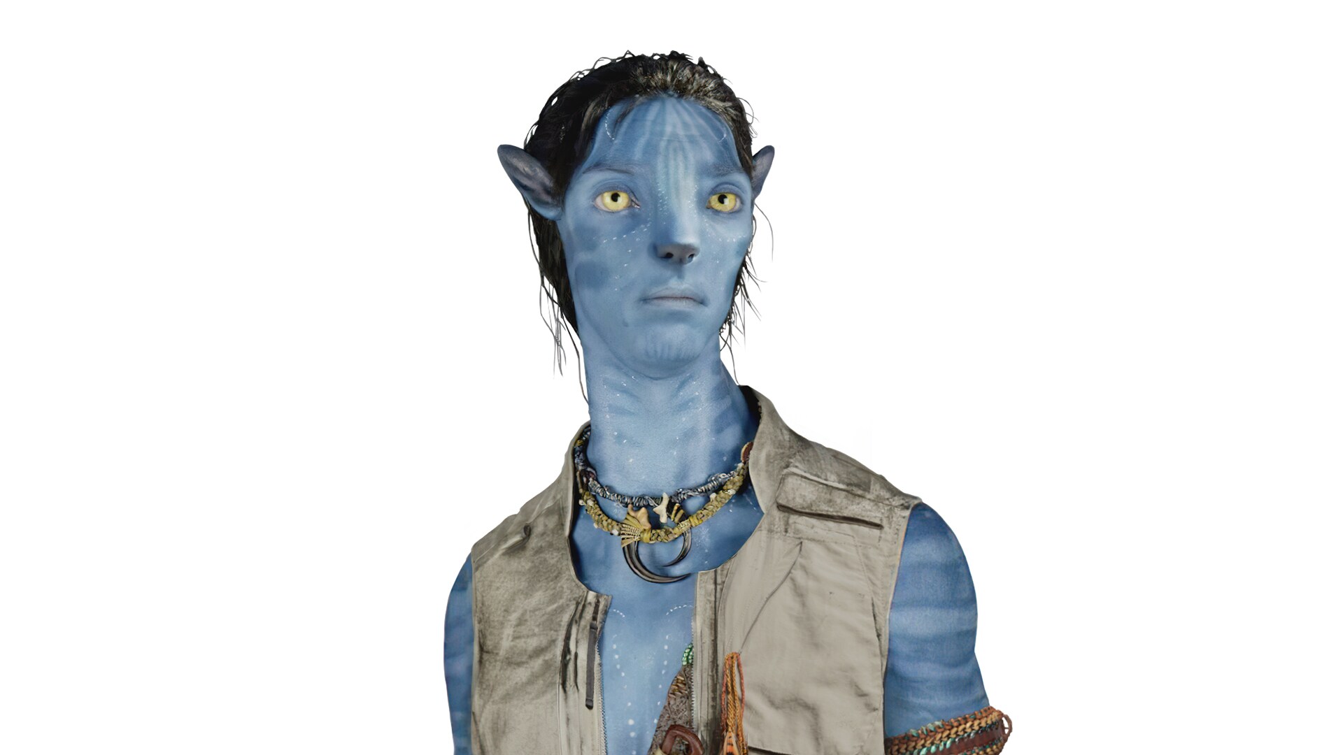 Adult Jake Sully Costume Deluxe  Avatar  Spirithalloweencom